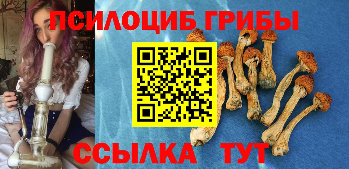 Псилоцибиновые грибы Psilocybe Азов